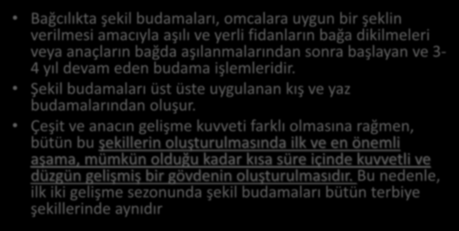 Şekil Budamaları Bağcılıkta şekil budamaları, omcalara uygun bir şeklin verilmesi amacıyla aşılı ve yerli fidanların bağa dikilmeleri veya anaçların bağda aşılanmalarından sonra başlayan ve 3-4 yıl