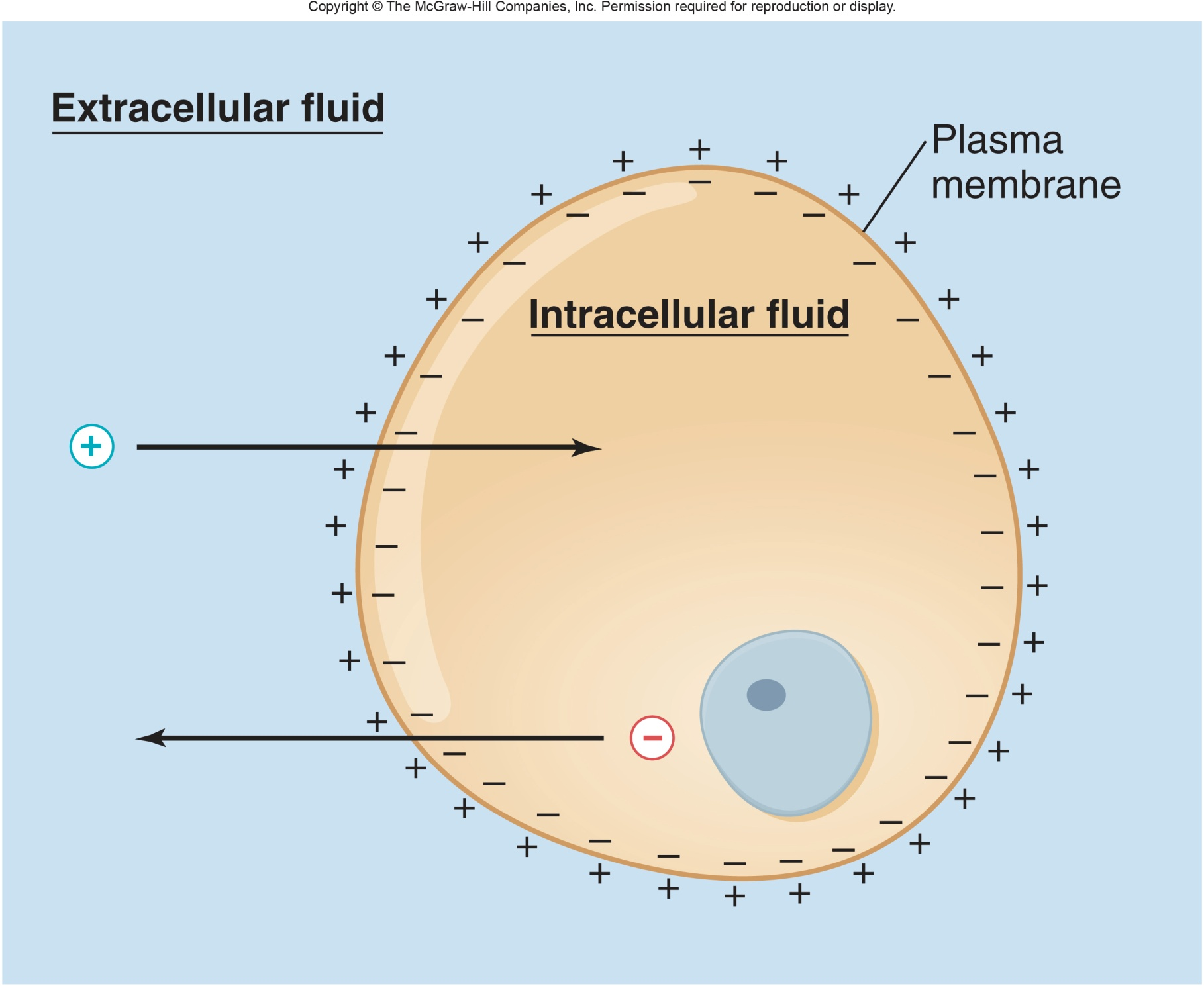 Fig. 4-6