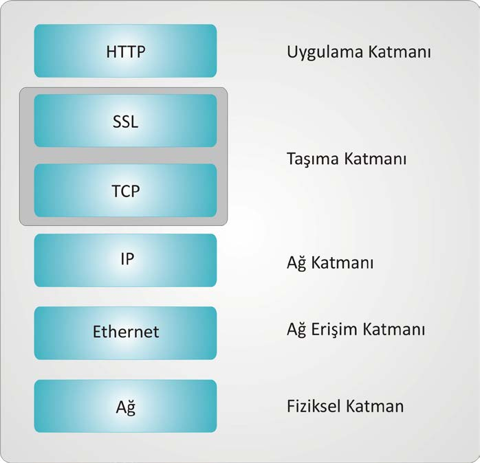 SSL/TSL e-ticareti güvenli kılmak amacıyla, ilk aşamada iletişimin şifrelenerek gizlenmesi amaçlanmıştır. Bu amaçla, Netscape firması Secure Sockets Layer'i (SSL) geliştirilmiştir.