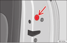 Anahtar milini sürücü kapısı kolundaki kapağın altındaki açıklığa alttan yerleştirin Şek. 194 (ok) ve daha sonra kapağı yukarı yönde çıkarın.