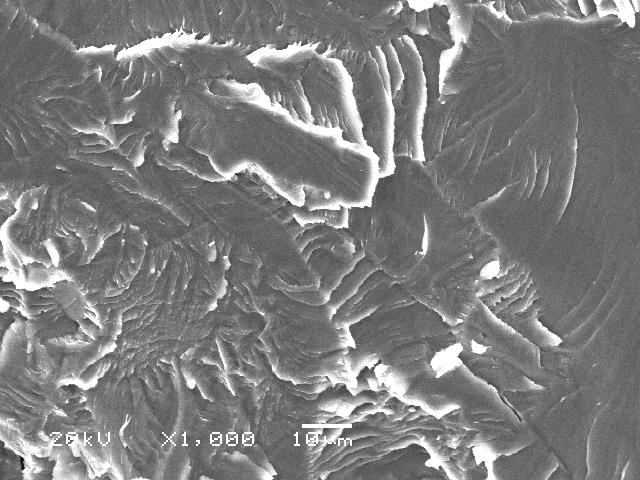 19 da kesme testinden sonra kırık yüzeylerin SEM mikroyapı fotoğrafları görülmektedir.