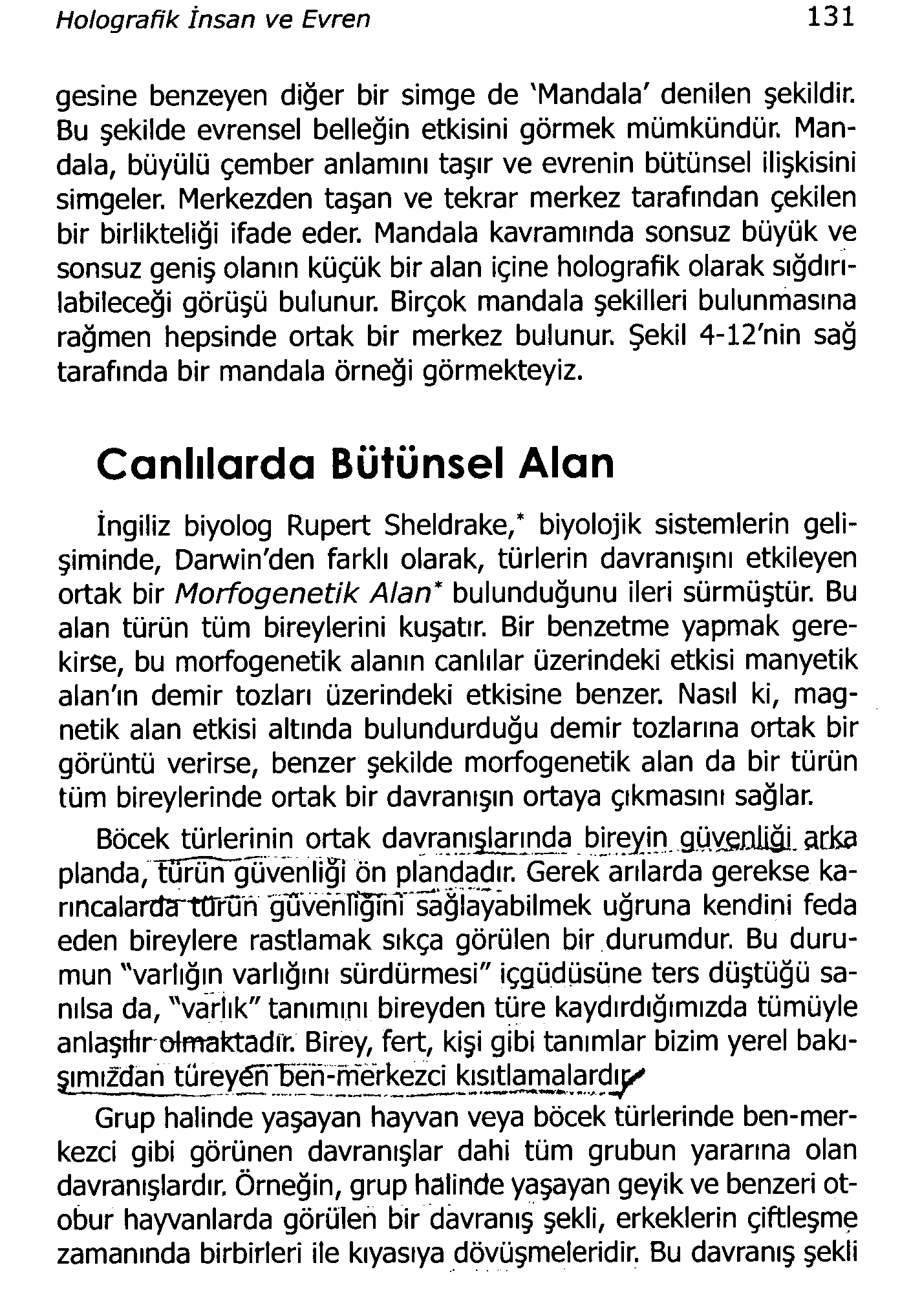 Holografik İnsan ve Evren 131 gesine benzeyen diğer bir simge de 'Mandala' denilen şekildir. Bu şekilde evrensel belleğin etkisini görmek mümkündür.