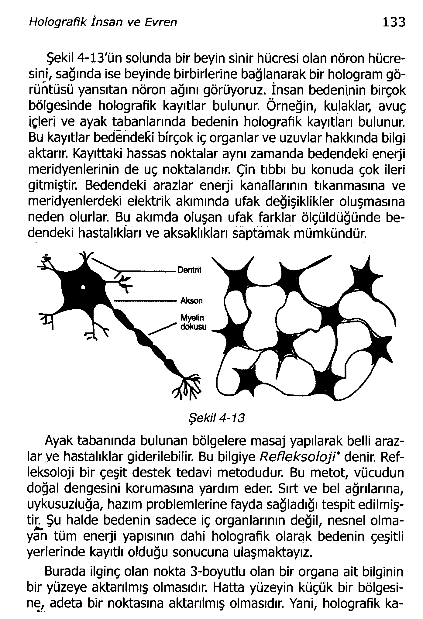 Holografik İnsan ve Evren 133 Şekil 4-13'ün solunda bir beyin sinir hücresi olan nöron hücresini, sağında ise beyinde birbirlerine bağlanarak bir hologram görüntüsü yansıtan nöron ağını görüyoruz.