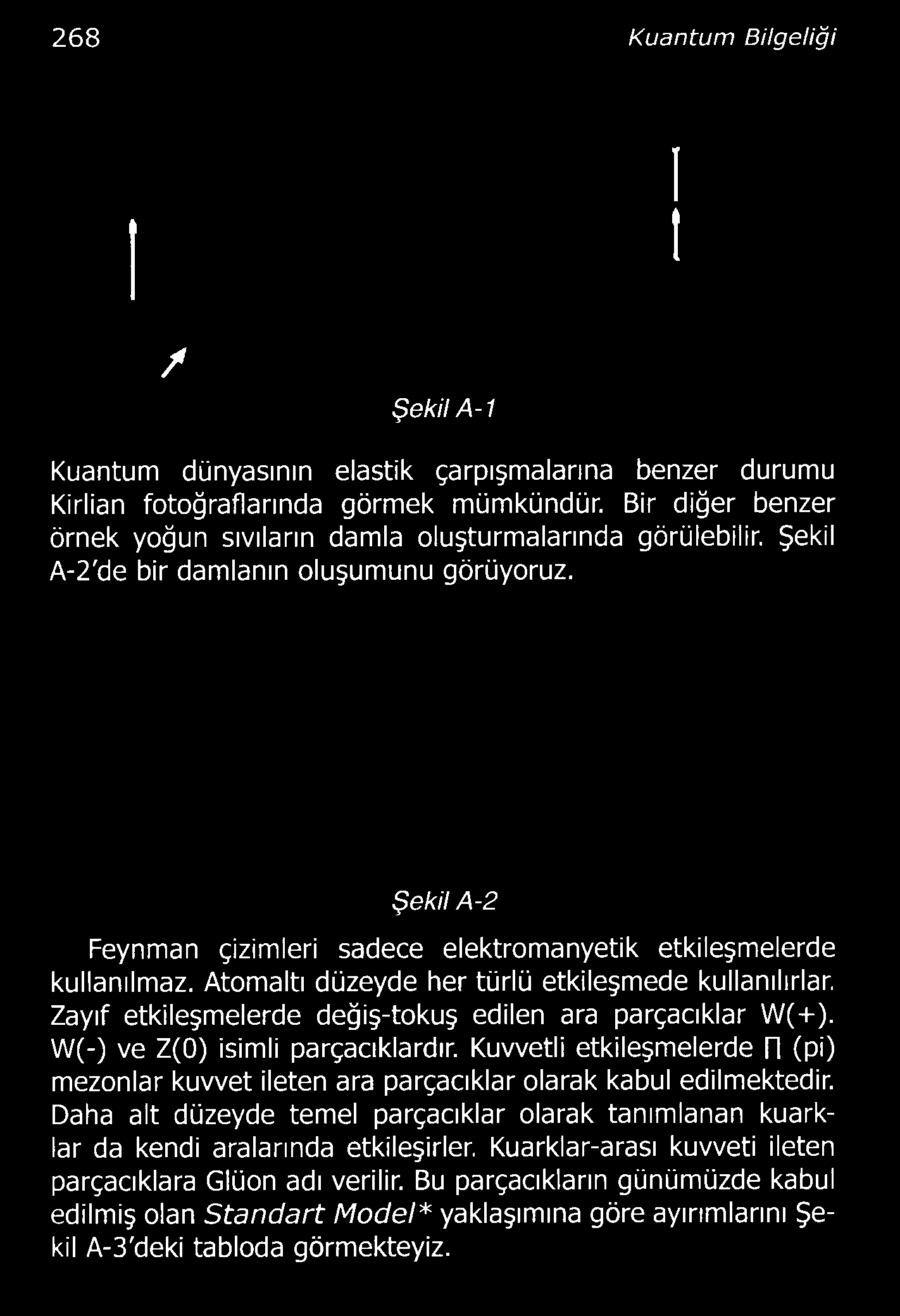 Atomaltı düzeyde her türlü etkileşmede kullanılırlar Zayıf etkileşmelerde değiş-tokuş edilen ara parçacıklar W(+). W(-) ve Z(0) isimli parçacıklardır.