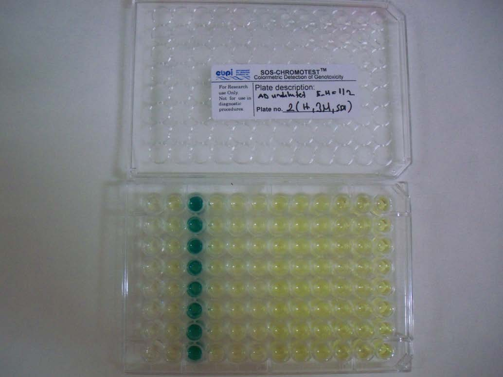 Simanlarının SOS Chromotest Sonuçları