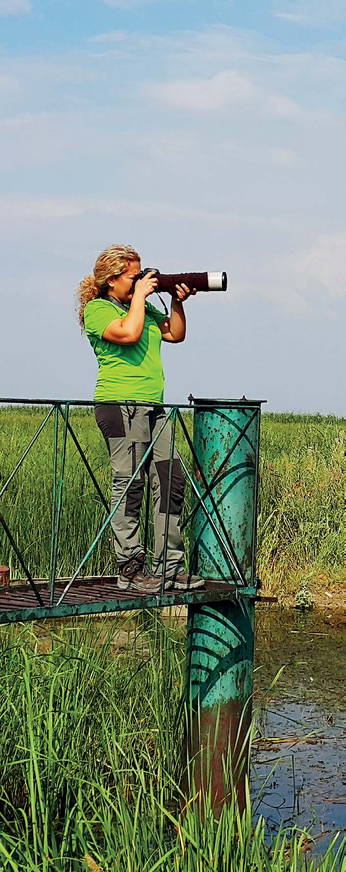 Hesna Kandır ve Afyon Kocatepe Üniversitesi Veteriner Fakültesinden Biyolog Zeynep Erturhan: Ülkemizde yaklaşık 3000 kuş gözlemcisinden aktif olan 500 adet amatör veya profesyonel kuş gözlemcisi