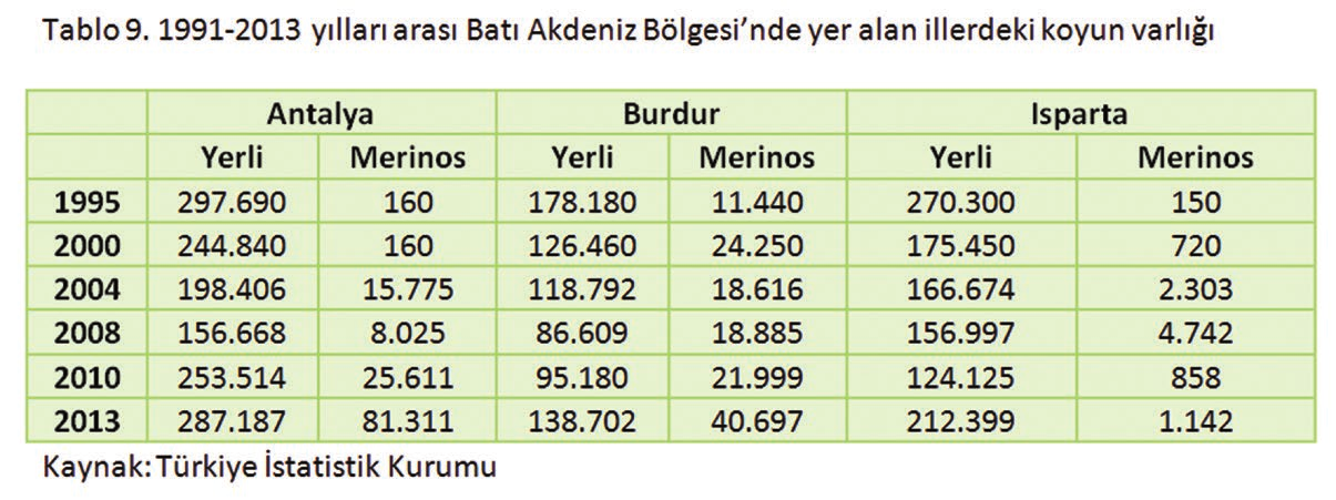 Bölgemizdeki ağırlıklı koyun ırkları ivesi, akkaraman, pırıt, sakız ve melezleri ile Orta Anadolu merinosunu