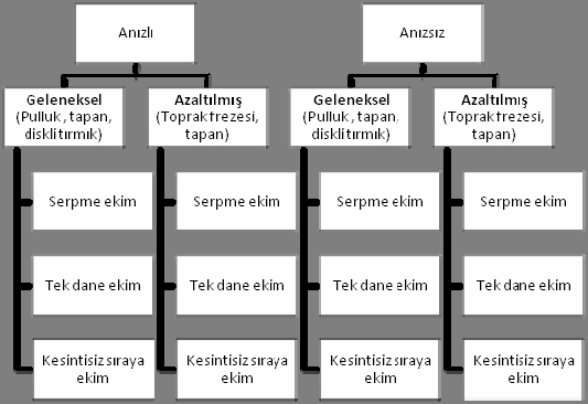 Antalya İlinde Yürütülen Koruyucu Toprak İşleme ve Doğrudan Ekim Çalışmaları Araştırmada havlı ve havsız tohumluk ile mekanik ve pnömatik ekim makinaları kullanılmıştır.