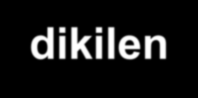 Ağustos ayında dikilen bitkiler ise ışıklandırma ve karartma uygulamaları yapılmadan kasım ayının başlarında çiçeklenme başlamaktadır.