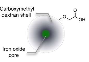 Ferumoxytol 2009; FDA onayı, 2012; Avrupa marketleri Karbonhidrattan oluşan kabuk, serbest demir moleküllerinin toksisitesini