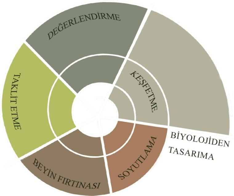 ġekil 4.13 : Biyolojiden tasarıma. Biyolojiden tasarıma; 1.