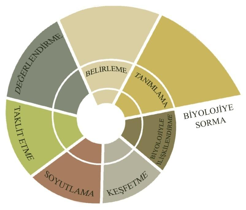 ġekil 4.14 : Biyolojiye sorma. Biyolojiye sorma; 1.