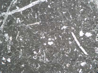 99 göstermektedir. Kayaçta gronoblastik doku gözlenmektedir. Bu özellikleriyle kayaç orta kristalli mermer olarak adlandırılabilir. Şekil 4. 27.