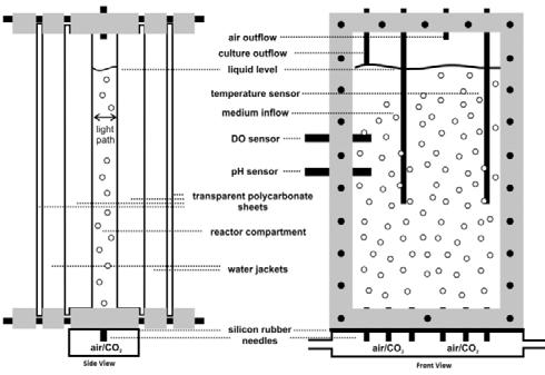 and salinity are examples for these parameters (Moisander et al., 2002). Widjaja et al. studied the effect of nitrogen starvation on lipid accumulation.