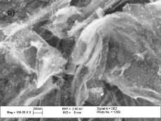 Fig. 3: XRD patterns of GO, N-rGO, TiO2-GO and TiO2-N-rGO samples The morphology and dispersion state of the nanoparticles were analyzed by SEM and HR-TEM.