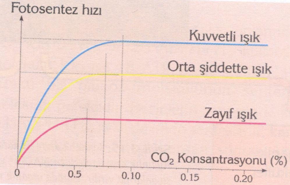 CO etkisi