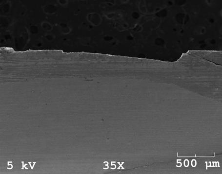 Resim 19: Propolis ile