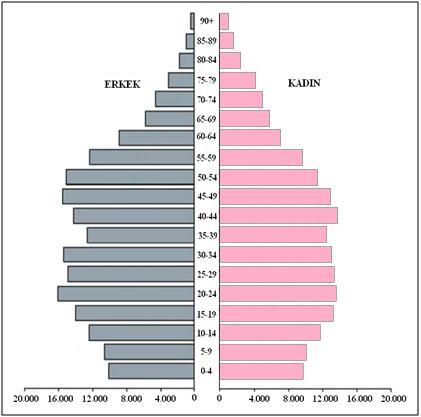 87 Bunun yanı sıra yetişkin nüfus yaş aralıklarında çoğunlukla erkekler lehine farklar görülürken 35-39 ve 45-49 yaş aralıklarında kadın nüfusun daha fazla olduğu dikkat çekmektedir.