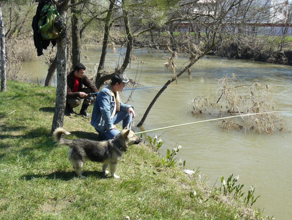 293 Fotoğraf 2.104. Sarayiçi Tunca Nehri Çevresinde Sportif Olta Balıkçılığı. 2.7.5.