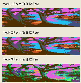 Referans görüntüdeki pikseller ile 12 lik renk paletindeki renkler arasında uygulanmı olan üç farklı metrik sonusunda elde edilen yeni görüntüler ekil 4.6 de verilmitir. 23 ekil 4.