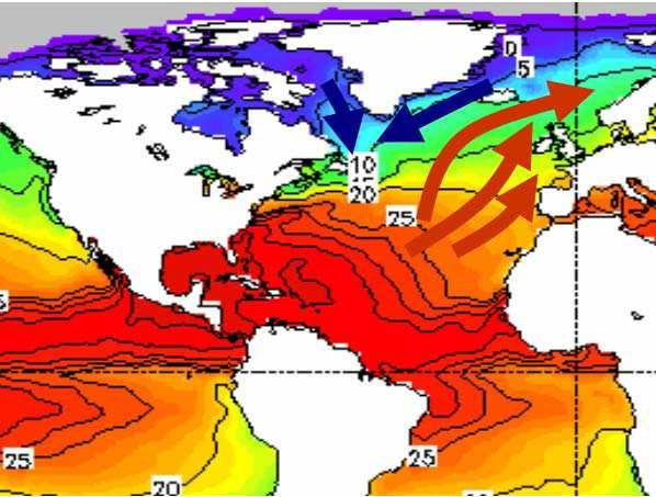 Gulf-Stream akıntısını uydu fotoğraflarında net bir şekilde görmemizi mümkün kılmaktadır.