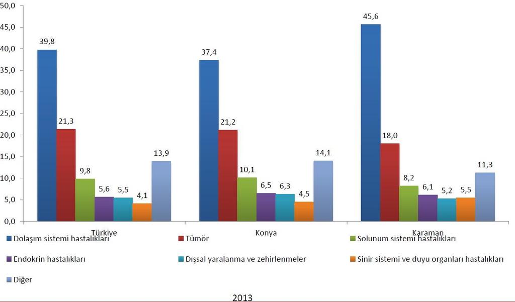 İkinci olarak tümör ve solunum sistemi hastalıkları gelmektedir.