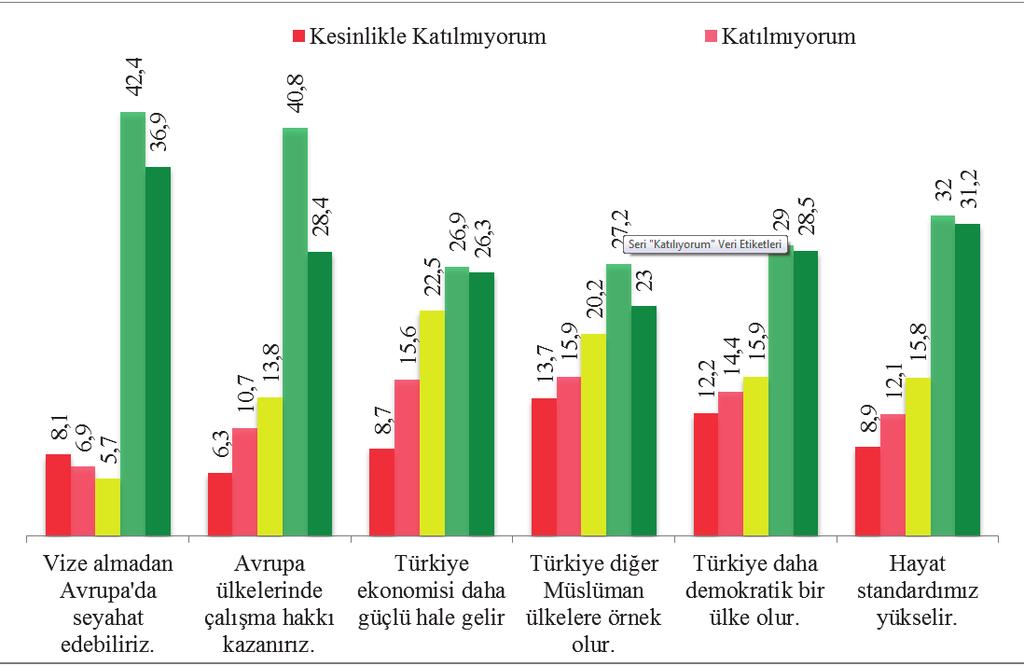 74 ÖZGÜR TONUS Tablo 11 AB üyeliğine destek gelir düzeyi ilişkisi Sayı Ortalama Ortalama İçin %95 Güven Std.