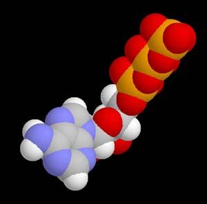 Adenosin