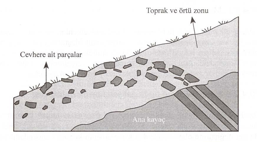 Şekil 1.