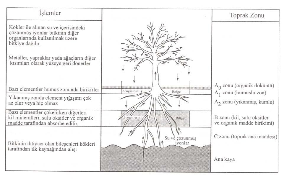 Şekil 5.