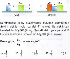 TESTİ -