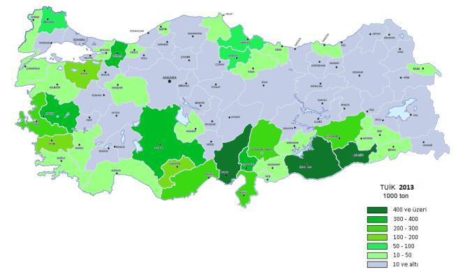 Cengiz Türkiye de Kamu Mısır Araştırmaları Şekil 1.