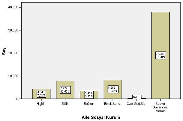 95 Tablo 60 a göre sosyal güvencesi olanların %32 si hangi sosyal güvenceye sahip olduğunu belirtmiştir. Buna göre %13 ü SSK lı, %6 sı Bağkur lu, %13 ü Emekli Sandığına bağlı ve %0.