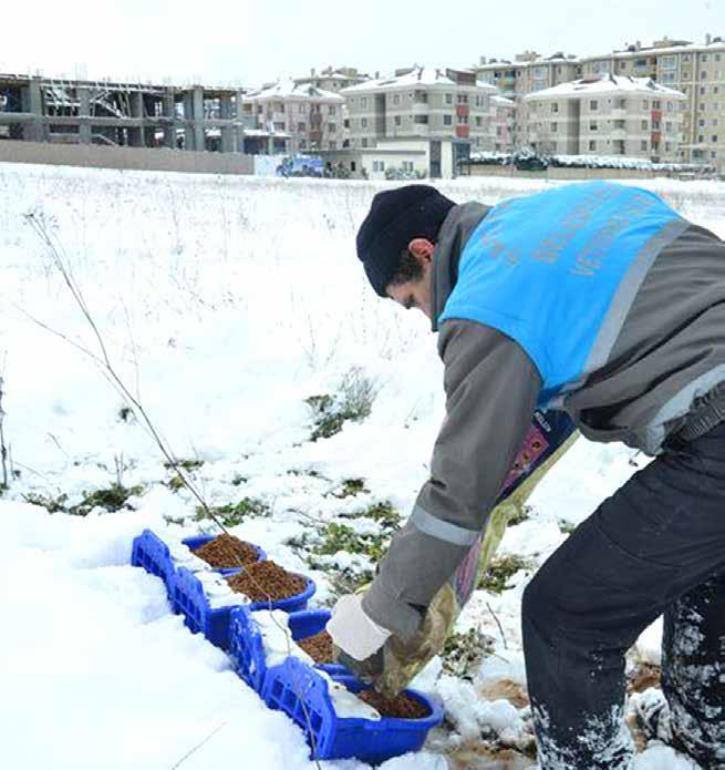 tüm cadde ve sokaklarda çalışmalarını etkin bir şekilde sürdüren ekipler, olumsuz hava koşullarının halkın gündelik yaşamını aksatmaması için seferber oldu.