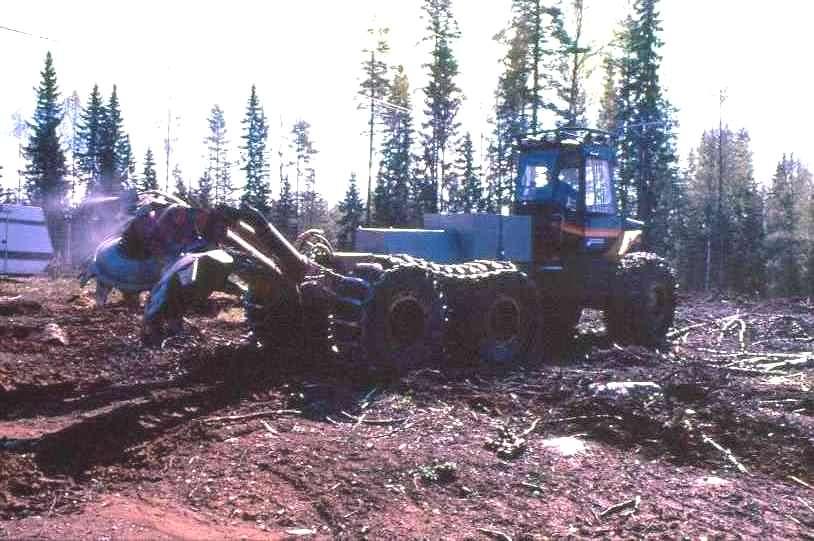 Finlandiya da şeritler halinde toprak