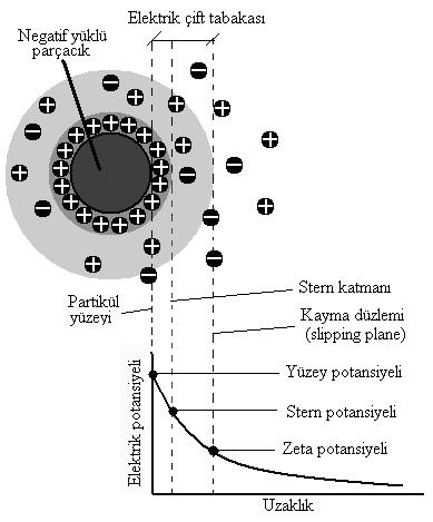 80 Şekil 3.22 Negatif yüklü bir parçacığın çevresinde oluşturduğu elektrik potansiyeli (Zetasizer Nano Series User Manual).