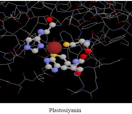 28 Biyolojik alan dışında kimya endüstrisinde de polimer-metal kompleksleri temel roller oynar. Örneğin 1963 te Nobel ödülü K. Ziegler ve G.