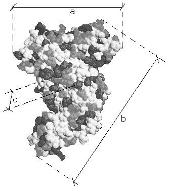 68 Şekil 3.11 BSA proteininin üç boyutlu yapısı görülmektedir.
