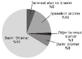 20 18 17.3 16 Milyon hektar 14 12 10 8 6 4 2 1.2 3.4 11.5 6.6 3.0 0 Afrika Asya Avrupa Latin Amerika Kuzey Amerika Okyanusya Şekil 2.