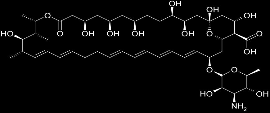 Amfoterisin B Nistatin Şekil 1.