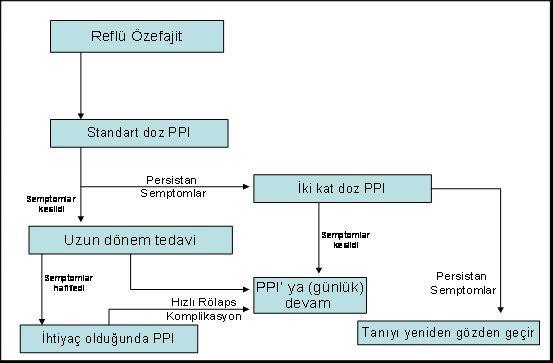 34 Şekil 8.