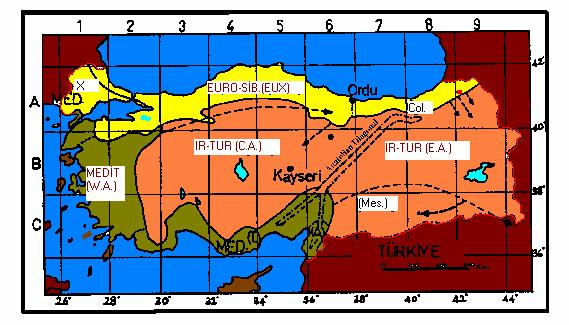 Şekil 1. Araştırma alanının coğrafi konumu Şekil 2. Türkiye nin fitocoğrafik bölgeleri (DAVIS vd, 1971). 1.3.2. Jeolojik Yapı ve Genel Toprak Özellikleri Araştırma alanı Üst kretase fliş serisi eosen bir kaide konglomerası ile başlar ve fliş serisine ulaşır.
