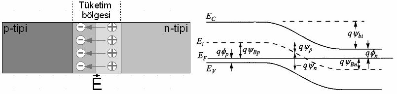 7 elektrik alan, her bir yük taşıyıcı tipi için difüzyon akımına zıt doğrultuda yönelmiştir (Şekil.8)