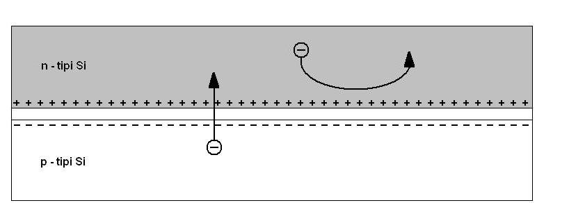 13 gönderdiğinden, birleşme noktasında + alan oluşacak, aksi taraftaki p tip elektron aldığından - alan oluşturacaktır. Serbest kalabilecek elektronların hareket yönleri Şekil 3.1 de gösterilmiştir.