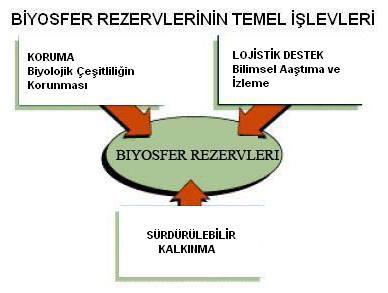 Genetik kaynakların, biyolojik çeşitliliğin, ekosistem ve peyzajın korunmasını küresel düzeyde gerçekleştirmek; Doğal kaynakların sürdürülebilir olarak kullanılmasını sağlamak.