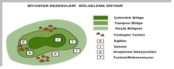 d. Yer aldığı bölgede sürdürülebilir kalkınma için örnek oluşturmalıdır, e.