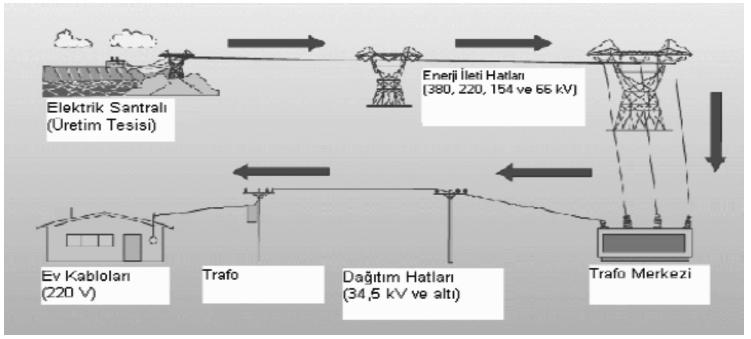 gibi ışımalar yer alır. Tayfın öteki ucundaysa "aşırı düşük frekanslı" (ELF) alanlar vardır. Bunların frekansı 3000 Hz'den düşüktür, dalga boyları da binlerce kilometreyi bulur.