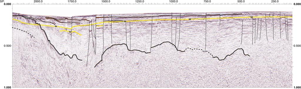 Ayrıca temel kaya ve güncel sediman birikimlerine ait paketler yine sismik kesit üzerinde gösterilmeye çalışımıştır.