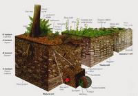 Toprak Derinliği Bahçe bitkilerinin özellikle çok yıllık olanlarının kökleri; genelde 1-5 m derinlikteki toprak tabakası