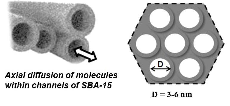 31 (a) (b) Şekil 2.2. (a) SBA-15 malzemesinin karakteristik XRD pikleri [83] (b) SBA-15 şematik gösterimi [58] Moleküllerin SBA-15 kanallarında yatay difüzyonu Şekil 2.3. SBA-15 malzemesinin yapısal gösterimi [15] SBA-15 malzemesi ve bu malzemenin kimya sektöründe farklı alanlarda kullanımı ile ilgili araştırmalar devam etmektedir.